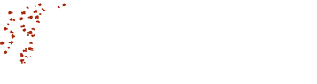Vision Quest Martial Arts Logo